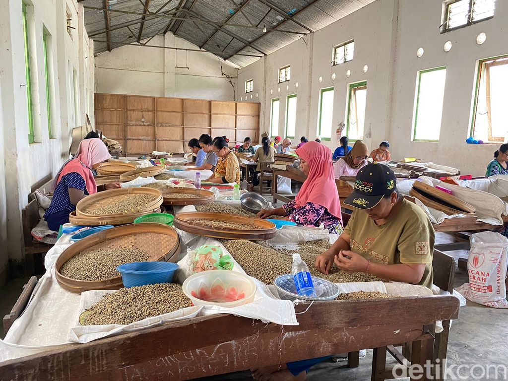 Kopi Pertama Ditanam oleh Pangeran, Ini Kebun Kopi Tertua di Jawa Timur