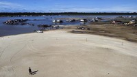 Berbulan-bulan setelah mengalami banjir yang menghancurkan tanaman, ribuan keluarga di Amazon Brasil kini menghadapi kekeringan parah.