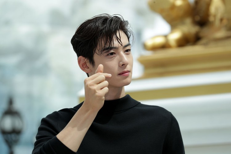 Cha Eun Woo