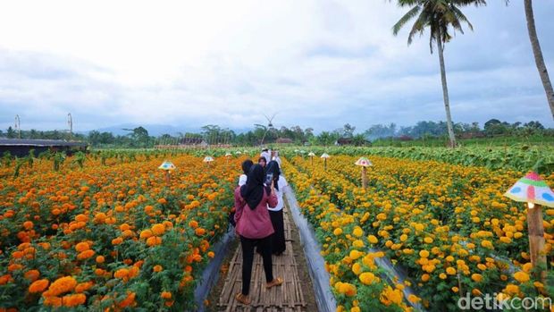 flower festival