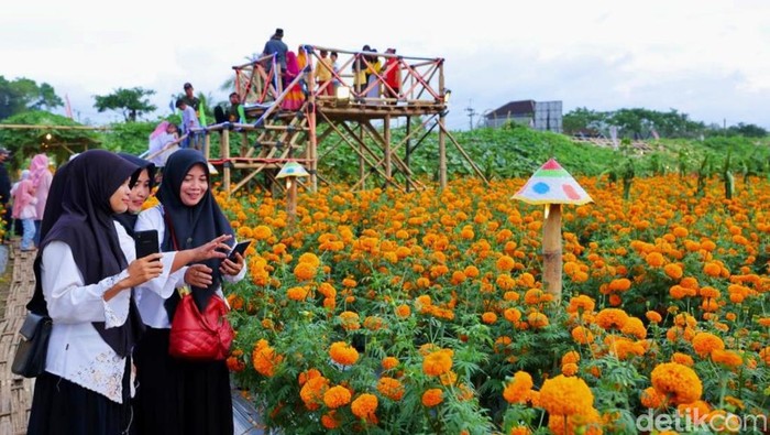 flower festival