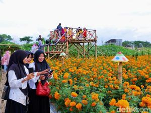 Flower Festival Padukan Wisata, Edukasi, dan Potensi Pertanian Banyuwangi