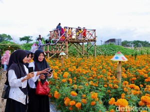 Flower Festival Padukan Wisata, Edukasi, dan Potensi Pertanian Banyuwangi