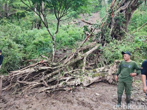 Jalan menuju Telaga Ngebel Ponorogo tertimbun longsor