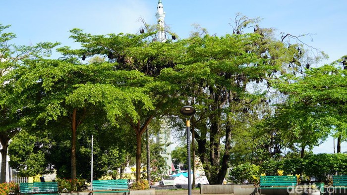 Kabupaten Soppeng berjuluk Kota Kelelawar atau Kota Kalong.