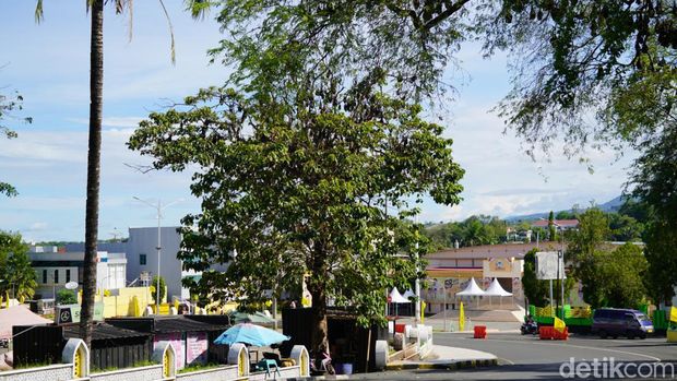 Kabupaten Soppeng berjuluk Kota Kelelawar atau Kota Kalong.