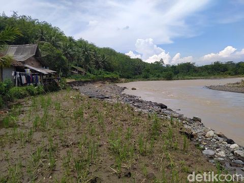 Lokasi longsoran akibat abrasidi pinggiran Sungai Progo wilayah Dusun Ngiwon, Desa Banyuwangi, Bandongan, Magelang, Sabtu (22/10/2022).