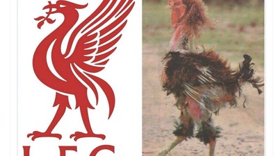Meme Liverpool Jadi Ayam Sayur Dilibas Nottingham Forest