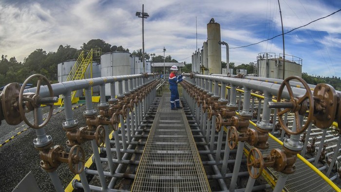 Perwira Pertamina memeriksa Stasiun Pengumpul (SP) 02 di Kelurahan Kampung Enam, Tarakan, Kalimantan Utara, Jumat (21/10/2022). PT Pertamina EP Tarakan Field saat ini memproduksi minyak 1.913 barrel per hari (BPOD) dan mampu memproduksi gas mencapai 2,37 juta kaki kubik per hari (MMSCFD). ANTARA FOTO/Galih Pradipta/nz.