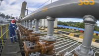 PT Pertamina EP Tarakan Field saat ini memproduksi minyak 1.913 barrel per hari (BPOD) dan mampu memproduksi gas mencapai 2,37 juta kaki kubik per hari (MMSCFD).