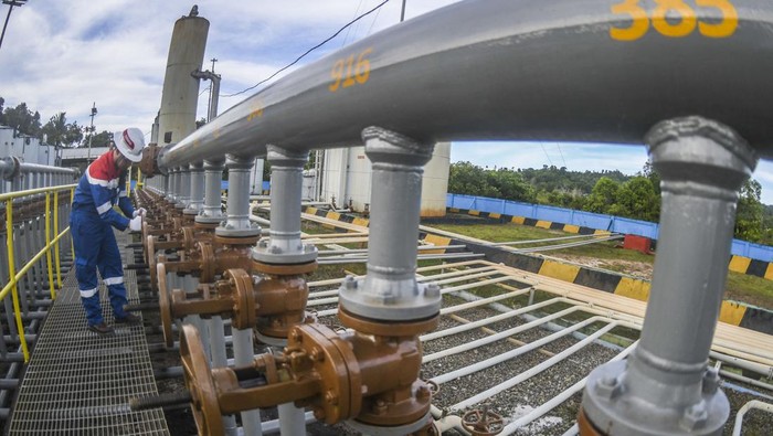 PEJUANG ENERGI PERTAMINA EP TARAKAN FIELD Perwira Pertamina memeriksa Stasiun Pengumpul (SP) 02 di Kelurahan Kampung Enam, Tarakan, Kalimantan Utara, Jumat (21/10/2022). PT Pertamina EP Tarakan Field saat ini memproduksi minyak 1.913 barrel per hari (BPOD) dan mampu memproduksi gas mencapai 2,37 juta kaki kubik per hari (MMSCFD). ANTARA FOTO/Galih Pradipta/nz.