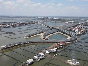 Daftar Tol Atas Laut RI, dari yang Sudah Beroperasi Sampai yang Baru Wacana