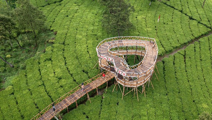 WISATA ALAM KEBUN TEH TAMBI SIKATOK Sejumlah pengunjung berjalan melalui jembatan bambu di wisata alam Kebun Teh Tambi Sikatok di Dusun Sikatok, Desa Sigedang, Kecamatan Kejajar, Kabupaten Wonosobo, Jawa Tengah, Sabtu (22/10/2022). Destinasi wisata alam seluas sekitar 6,6 hektare yang menyuguhkan pemandangan perkebunan teh serta alam di kawasan lereng Gunung Sindoro tersebut dikembangkan dan dikelola oleh masyarakat setempat bekerja sama dengan PT Perkebunan Tambi guna meningkatkan perekonomian warga sekitar perkebunan. ANTARA FOTO/Aji Styawan/aww.