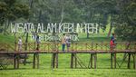 Wisata Kebun Teh Tambi Sikatok di Wonosobo, Asri Banget Buat Healing!