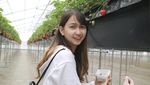 Dinikahi Daisuke, Ini Keseruan Stefi Eks JKT48 Kulineran di Jepang