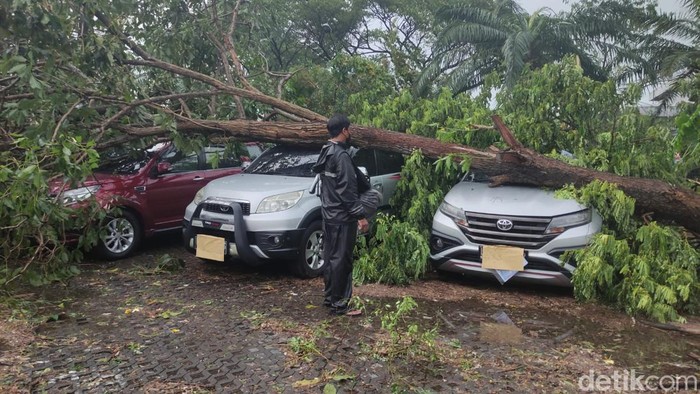 Mobil tertimpa pohon tumbang di Perum Kahuripan Nirwana Sidoarjo