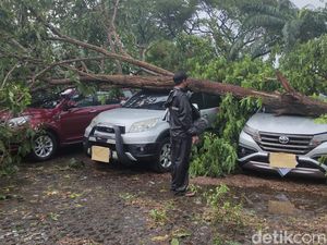 4 Mobil di Kantor Pemasaran Perum Kahuripan Nirwana Sidoarjo Tertimpa Pohon