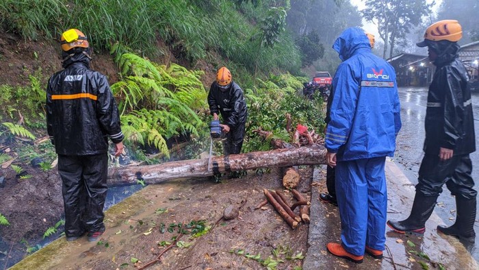 Petugas mengevakuasi pohon tumbang di Payung, Kota Batu