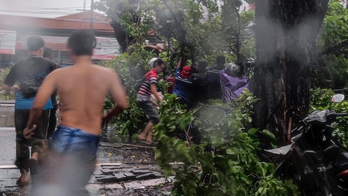 pohon tumbang timpa pemotor di sidoarjo