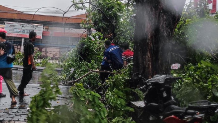 pohon tumbang timpa pemotor di sidoarjo
