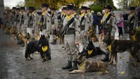 Monumen untuk menghormati anjing pahlawan adalah inisiatif dari klub kennel Prancis, Centrale Canine. Hewan-hewan dari resimen tentara menghadiri upacara hari Kamis yang meresmikan peringatan tersebut dengan mengenakan medali militer mereka.