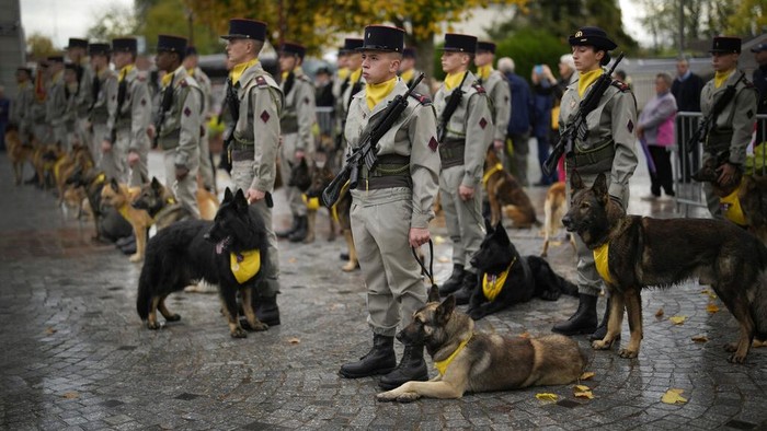 Prancis Bikin Monumen untuk Hormati Anjing Pahlawan, Begini Penampakannya A sculpture by French-Columbian artist Milthon shows a WWI French soldier and his dog huddled together, during a ceremony in Suippes, eastern France, Thursday, Oct. 20, 2022. France inaugurated on Thursday its first memorial paying tribute to all