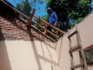 Hujan Lebat, Rumah Warga di Narmada Lombok Tertimpa Pohon Aren