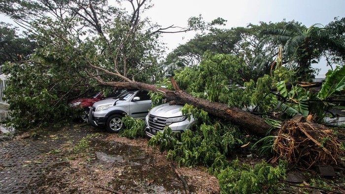 Sidoarjo Diamuk Puting Beliung, Pohon Tumbang Timpa Mobil Sejumlah mobil yang terparkir tertimpa pohon di perumahan Kahuripan Nirwana Sidoarjo, Jawa Timur, Minggu (23/10/2022). Angin kencang disertai hujan deras yang menerjang di wilayah setempat mengakibatkan sebuah kaca hotel pecah dan puluhan pohon roboh. ANTARA FOTO/Umarul Faruq/hp.