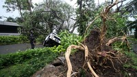 Sebuah mobil yang terparkir tertimpa pohon di perumahan Kahuripan Nirwana Sidoarjo, Jawa Timur, Minggu (23/10/2022).