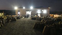 Terlihat puluhan karung buah zaitun tiba di sebuah pabrik pengolahan minyak zaitun di kawasan Afrin, Suriah, Minggu (23/10/2022).