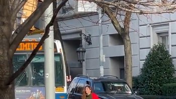 Memanfaatkan lampu merah. Foto: Influencersinthewild via Boredpanda