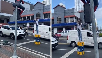 Jadi Spiderman. Foto: Influencersinthewild via Boredpanda