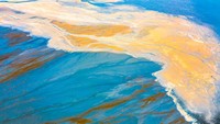 Perpaduan warna biru dan kuning kecoklatan terlihat sangat indah.