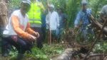 Penampakan Ular Piton Berukuran 7 Meter yang Mangsa Wanita di Jambi