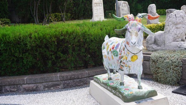 Penampakan Kambing-kambing yang Jadi Ikonnya Kota Ankara