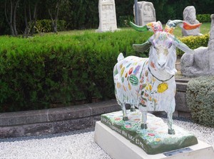 Ada Apa Antara Kambing dengan Kota Ankara?