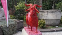 Penampakan Kambing Angora cukup berbeda dengan kambing di Indonesia. Mereka terlihat lebih gagah, dengan bulu yang tebal. (Wahyu Setyo/detikTravel)