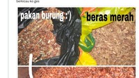 Ditinggal orang tuanya sendirian di rumah, netizen ini berniat ingin makan nasi merah agar lebih sehat. Setelah magic com berhenti memasak nasi, dirinya baru menyadari bahwa yang dimasaknya ternyata pakan burung. Foto: Twitter/saranghaeshopi