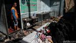 Warga Korban Kebakaran Pademangan Mengungsi, Begini Kondisinya