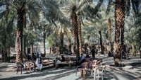 Sejumlah pengunjung menikmati kurma di kebun Kurma, Madinah, Arab Saudi, Minggu (23/10/2022). Suasana di kebun begitu asri. Selain menikmati wisata kebun kurma, pengunjung juga bisa berbelanja kurma yang dipanen dari kebun tersebut.