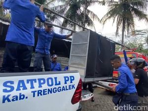 Akhir Tragis Pawang Ular Tewas Dipatuk King Kobra Peliharaannya