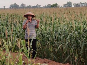 Bulan Inklusi Keuangan 2022: Petani Berjaya di Provinsi Lampung