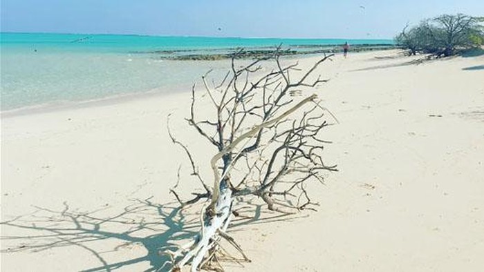 Potret Pulau Pasir di NTT yang Diklaim Punya Australia Menurut Ferdi, Australia melakukan aktivitas pengeboran minyak bumi di kawasan itu.