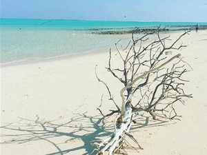Mengenal Pulau Pasir di NTT, Australia Sebut Pulau Cartier