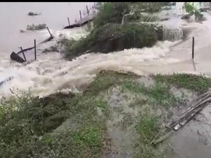 Tanggul Anak Sungai Ingas Bojonegoro Jebol Banjiri Sawah Warga