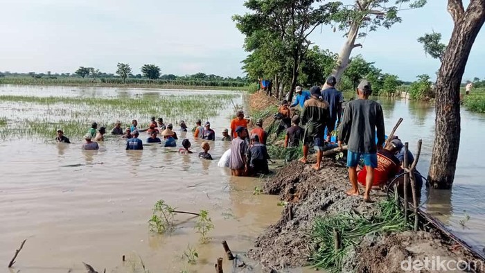 tanggul sungai jebol di lamongan