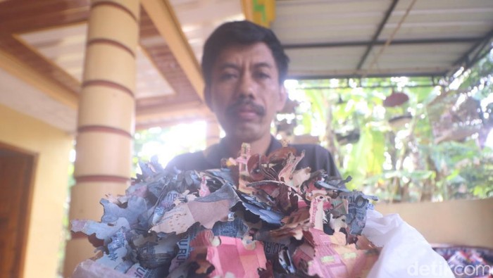 Uang dimakan rayap Madiun