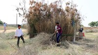 Mereka membangun ruang kelas yang terdiri dari gubuk jerami hingga tenda-tenda rapuh.  