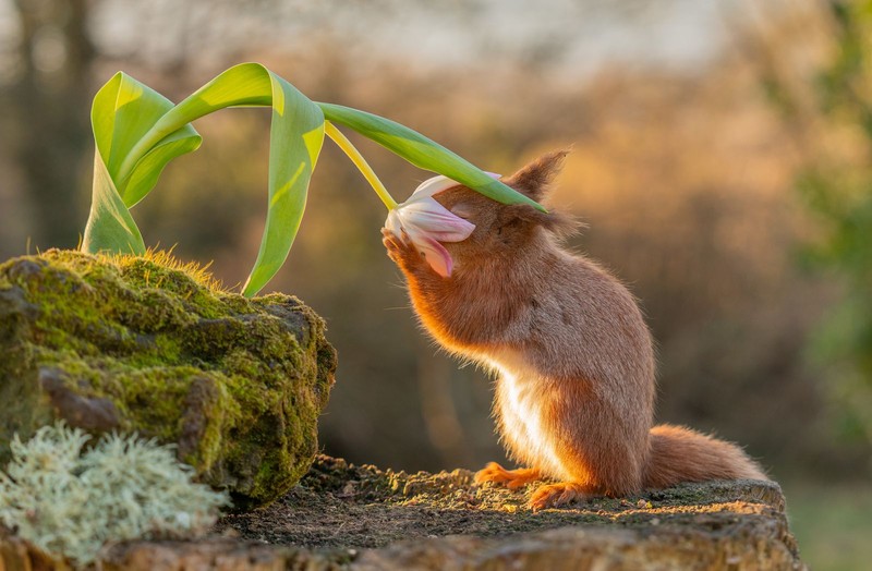 British Photography Awards 2022