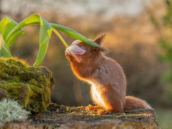 Karya Finalis British Photography Awards 2022 Bikin Terkesima dan Takjub